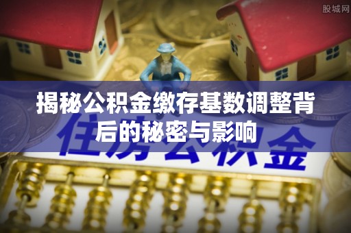 苓雅揭秘公积金缴存基数调整背后的秘密与影响