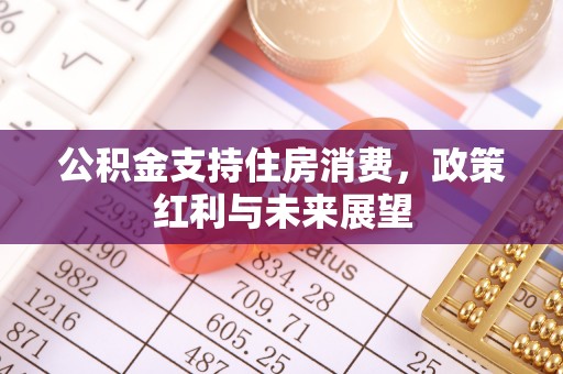 苓雅公积金支持住房消费，政策红利与未来展望