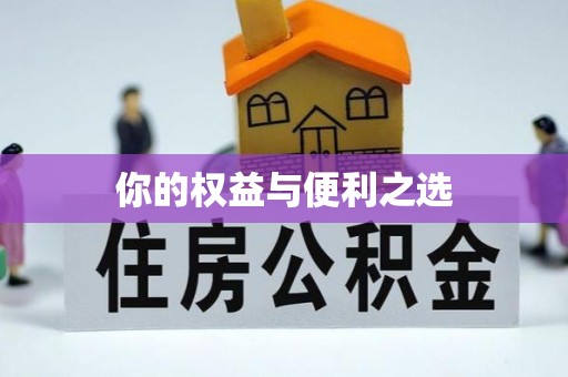 苓雅你的权益与便利之选