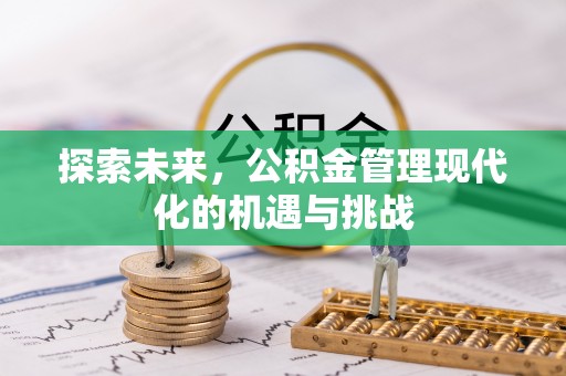 苓雅探索未来，公积金管理现代化的机遇与挑战