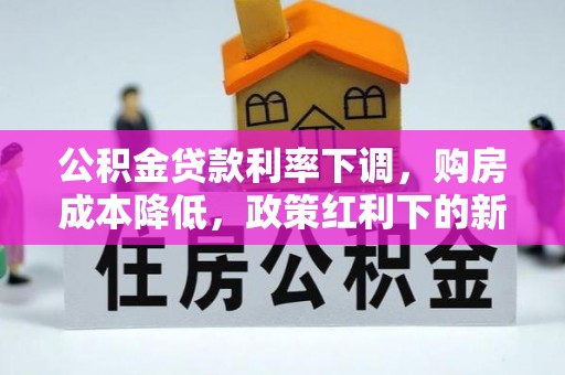 苓雅公积金贷款利率下调，购房成本降低，政策红利下的新机遇