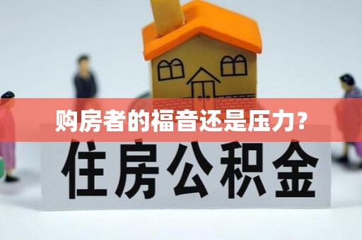 苓雅购房者的福音还是压力？