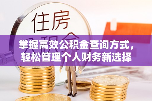 苓雅掌握高效公积金查询方式，轻松管理个人财务新选择