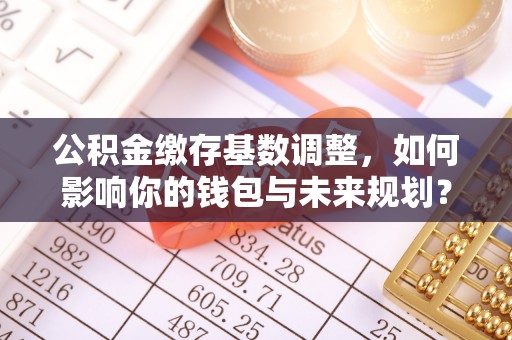 苓雅公积金缴存基数调整，如何影响你的钱包与未来规划？