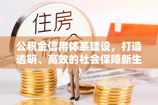 苓雅公积金信用体系建设，打造透明、高效的社会保障新生态