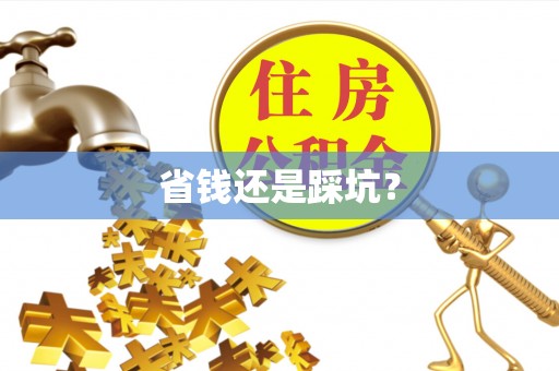 苓雅省钱还是踩坑？