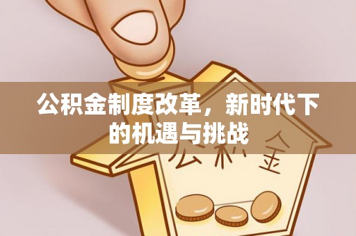 苓雅公积金制度改革，新时代下的机遇与挑战