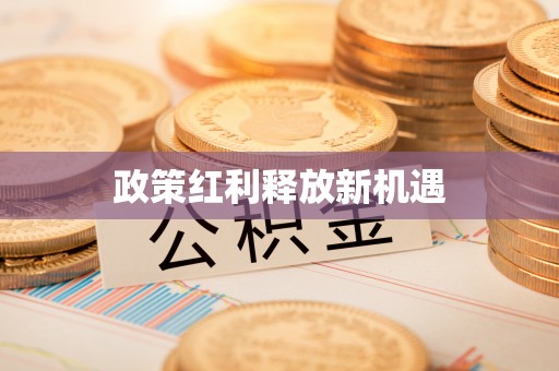 苓雅政策红利释放新机遇
