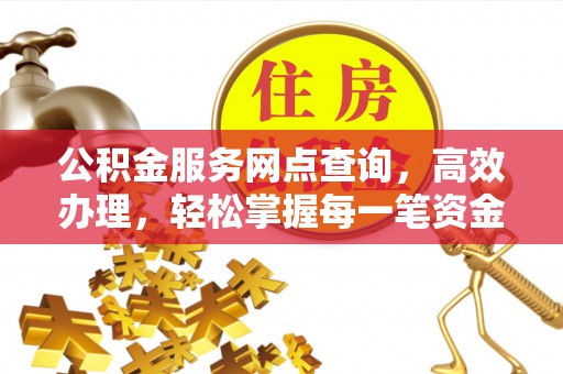 苓雅公积金服务网点查询，高效办理，轻松掌握每一笔资金动态