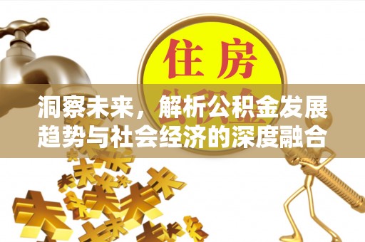 苓雅洞察未来，解析公积金发展趋势与社会经济的深度融合
