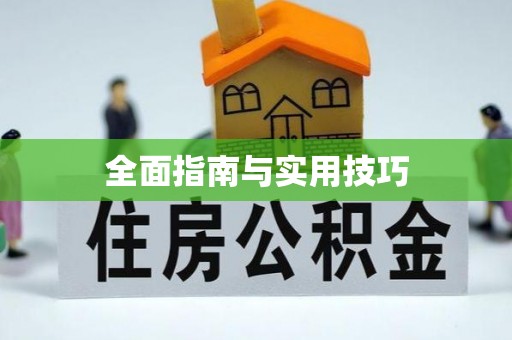 苓雅全面指南与实用技巧