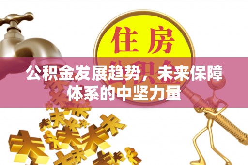 苓雅公积金发展趋势，未来保障体系的中坚力量