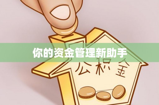 苓雅你的资金管理新助手