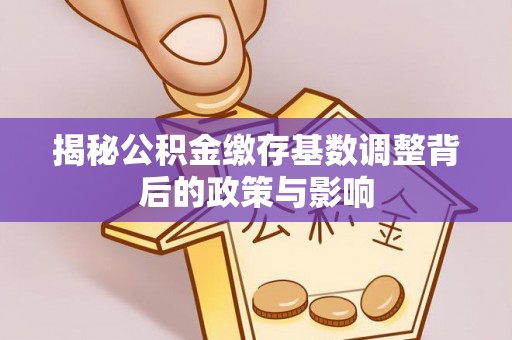 苓雅揭秘公积金缴存基数调整背后的政策与影响