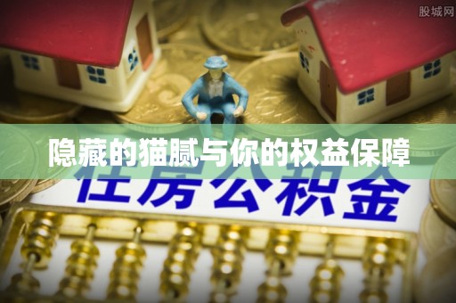 苓雅隐藏的猫腻与你的权益保障