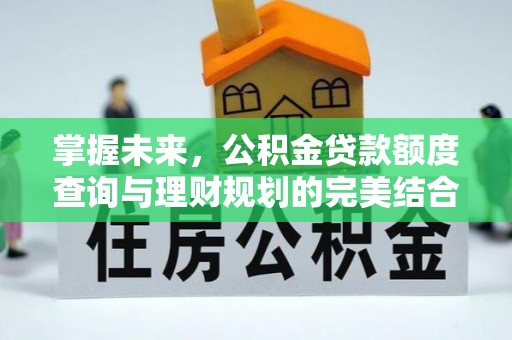 苓雅掌握未来，公积金贷款额度查询与理财规划的完美结合