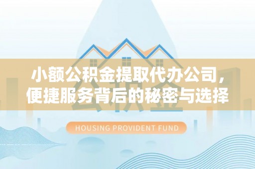 苓雅小额公积金提取代办公司，便捷服务背后的秘密与选择指南