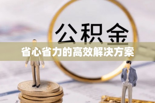 苓雅省心省力的高效解决方案