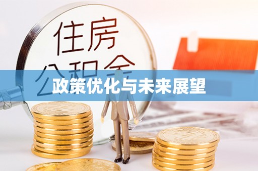 苓雅政策优化与未来展望