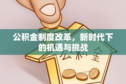 苓雅公积金制度改革，新时代下的机遇与挑战
