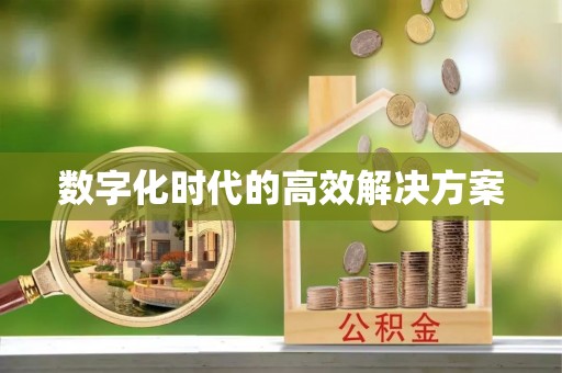 苓雅数字化时代的高效解决方案