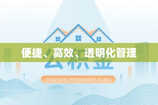 苓雅便捷、高效、透明化管理