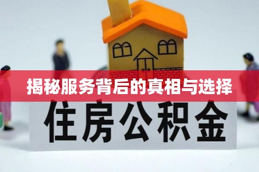 苓雅揭秘服务背后的真相与选择