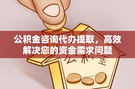 苓雅公积金咨询代办提取，高效解决您的资金需求问题