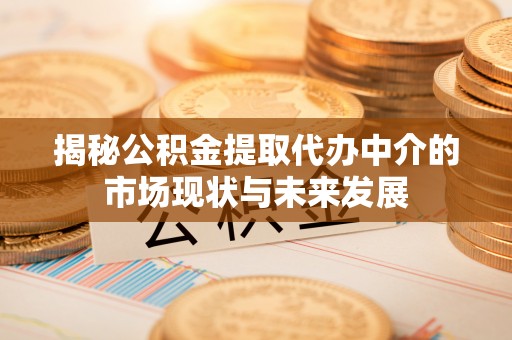 苓雅揭秘公积金提取代办中介的市场现状与未来发展