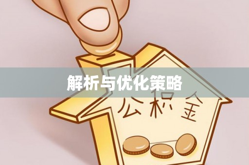 苓雅解析与优化策略