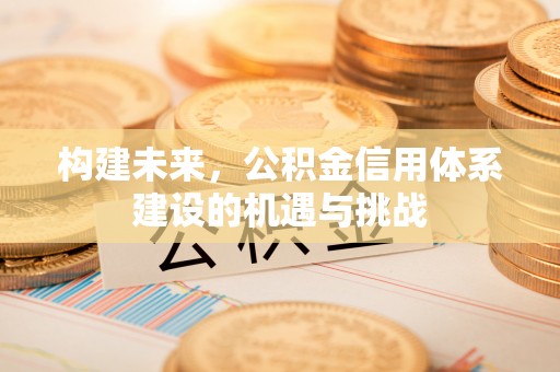 苓雅构建未来，公积金信用体系建设的机遇与挑战