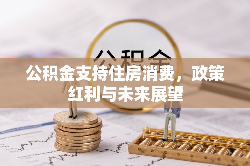 苓雅公积金支持住房消费，政策红利与未来展望