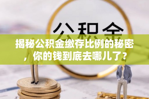 苓雅揭秘公积金缴存比例的秘密，你的钱到底去哪儿了？