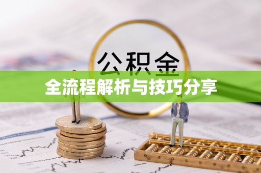 苓雅全流程解析与技巧分享