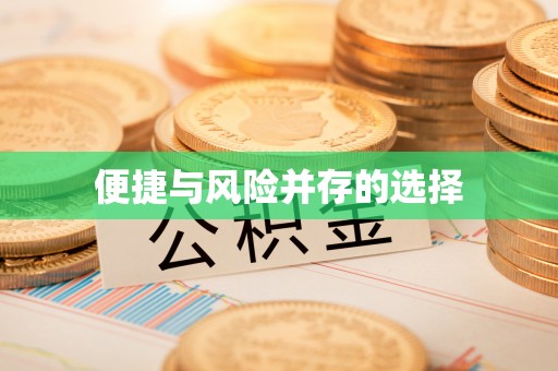 苓雅便捷与风险并存的选择