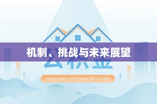 苓雅机制、挑战与未来展望